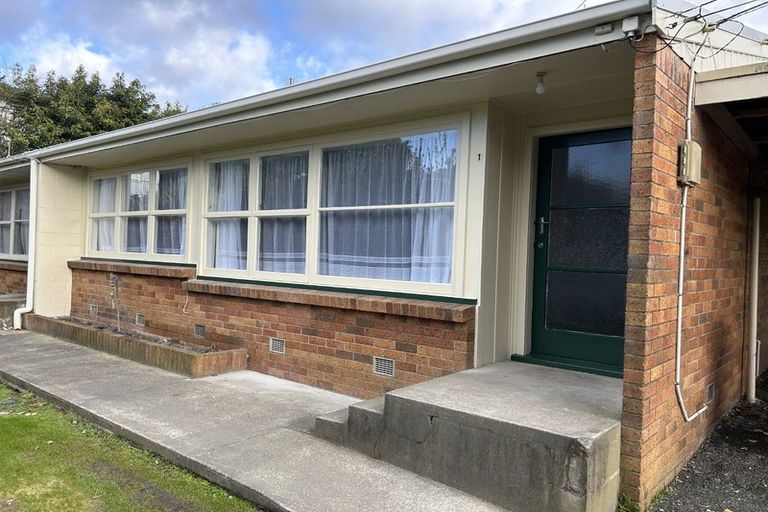 Photo of property in 1241 Victoria Street, Whitiora, Hamilton, 3200