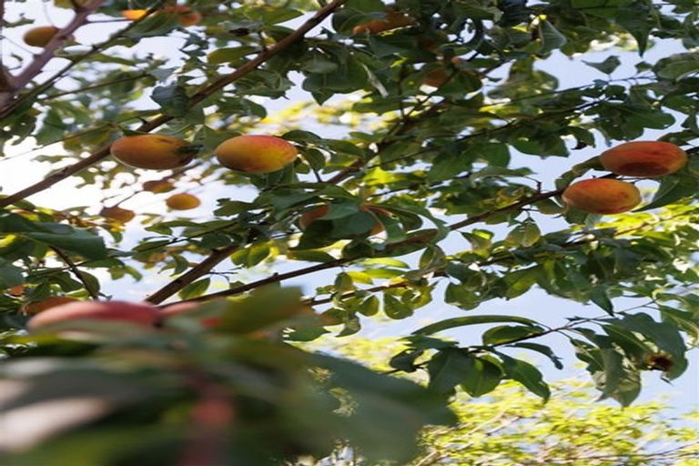 Photo of property in 158 North Avon Road, Richmond, Christchurch, 8013