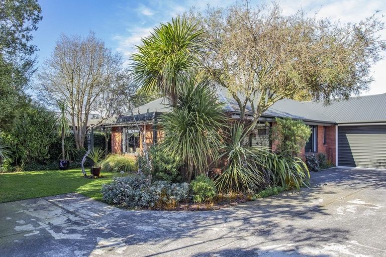 Photo of property in 56a Birchfield Avenue, Dallington, Christchurch, 8061