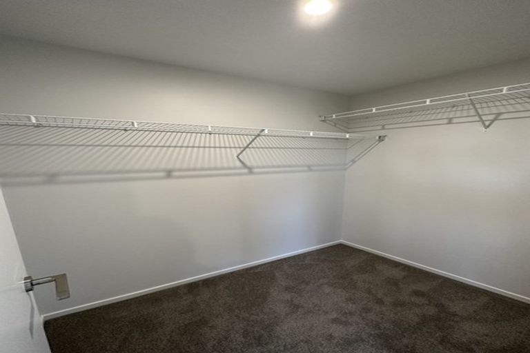 Photo of property in 51 Probert Crescent, Chartwell, Hamilton, 3210