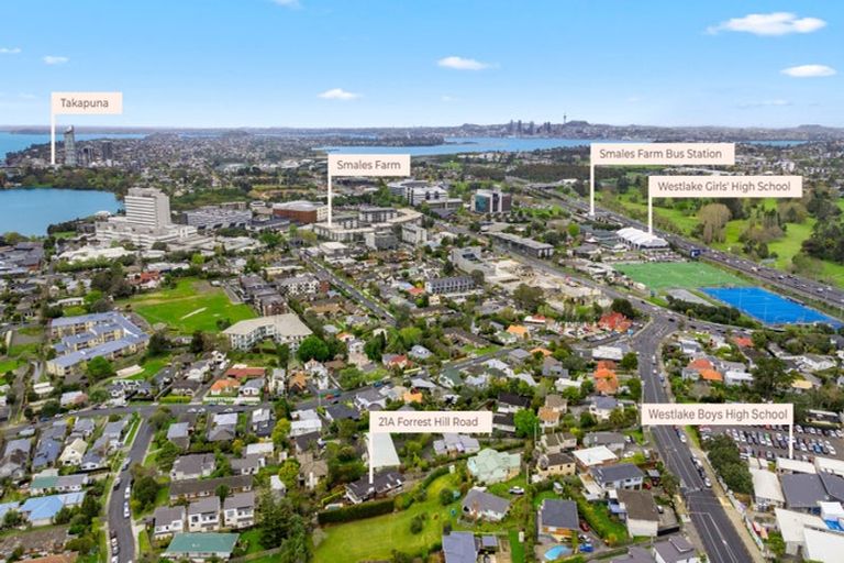 Photo of property in 21a Forrest Hill Road, Milford, Auckland, 0620