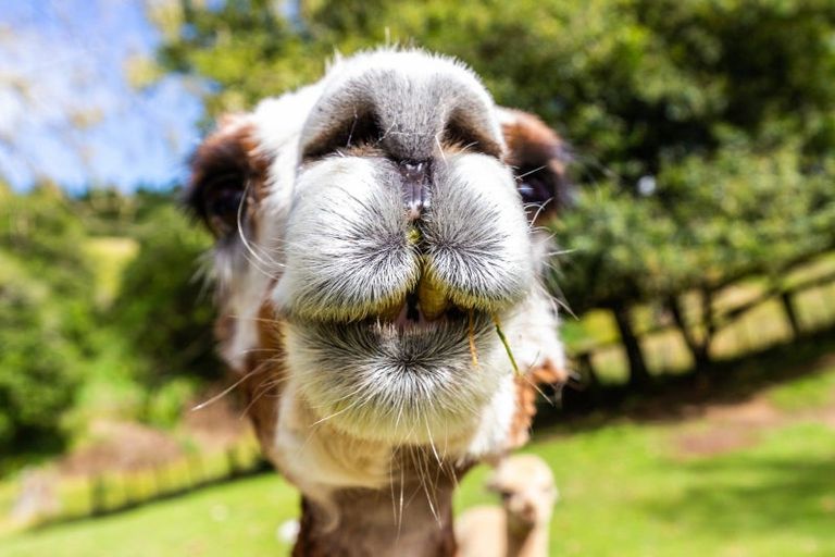 Photo of property in 68 Tangye Road, Oruanui, Taupo, 3384