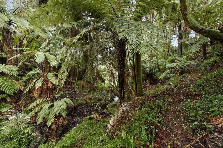 Photo of property in 7 Bellwood Place, Chartwell, Hamilton, 3210