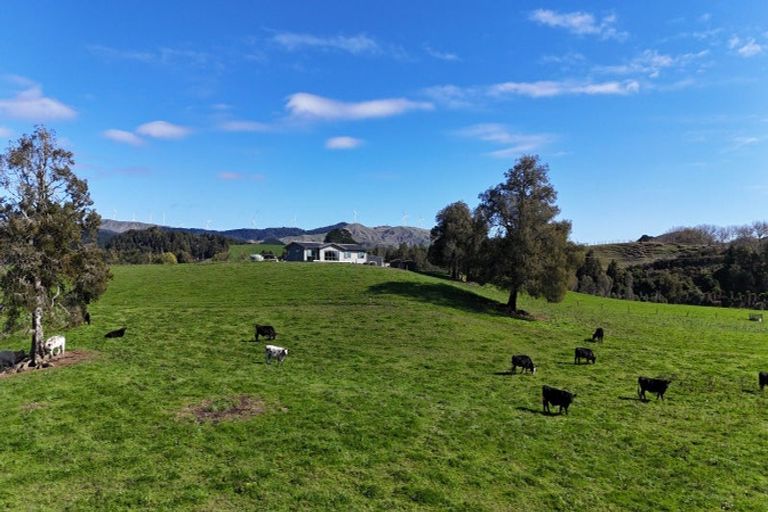 Photo of property in 305 Waitetuna Valley Road, Waitetuna, Raglan, 3295