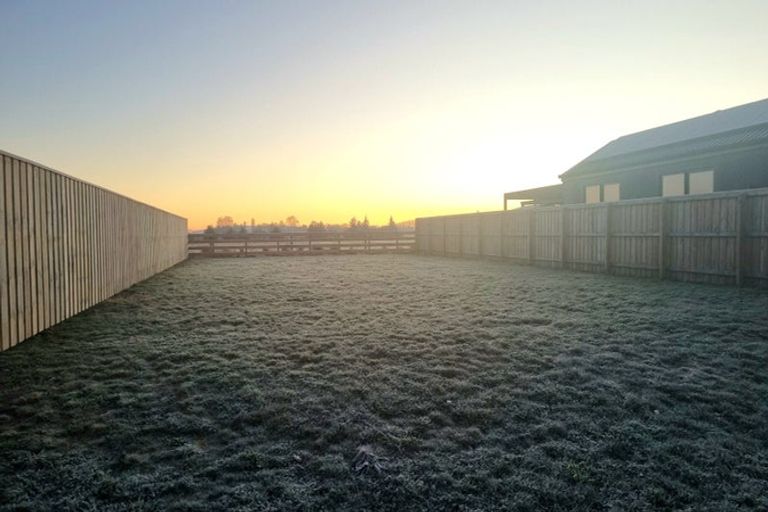 Photo of property in 20 Ellmers Street, Woodend, 7691