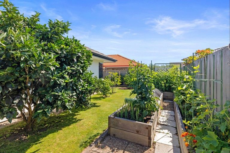 Photo of property in 59b Plateau Heights, Mount Maunganui, 3116