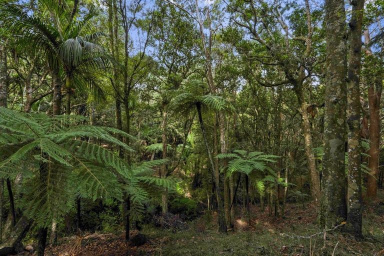 Photo of property in 289 Otuhi Road, Wheki Valley, Whangarei, 0179