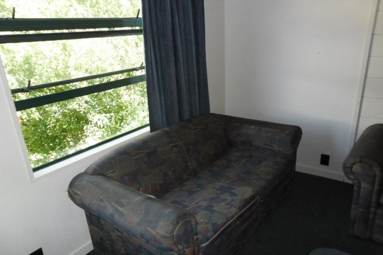 Photo of property in Te Awhina Apartments, 29/22 Sussex Street, Mount Cook, Wellington, 6021