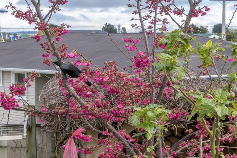 Photo of property in 5a Lancaster Street, Levin, 5510