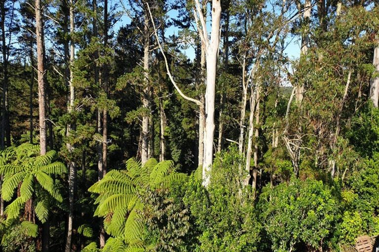 Photo of property in 1226a Pyes Pa Road, Pyes Pa, Tauranga, 3173