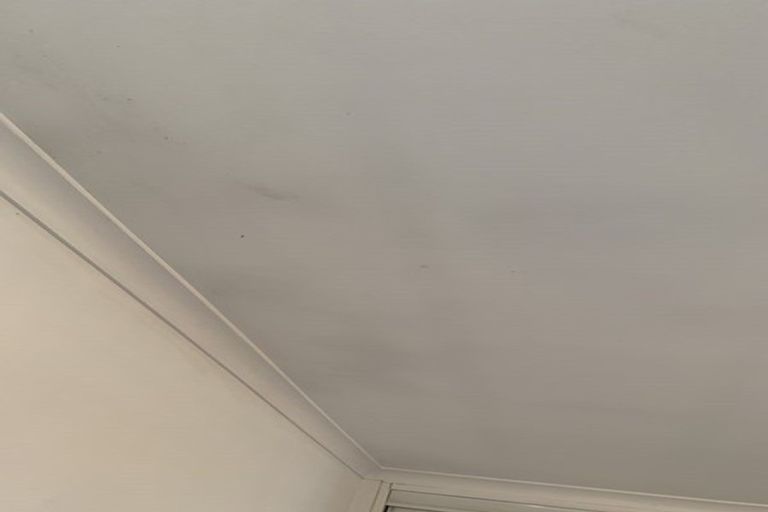 Photo of property in 37 Fernbrook Close, Burswood, Auckland, 2013