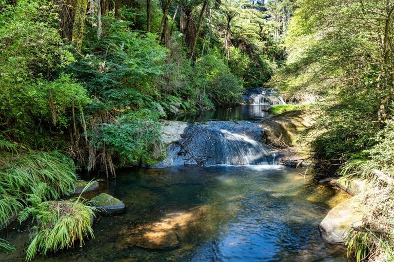 Photo of property in 168 Youngson Road, Whakamarama, Tauranga, 3179