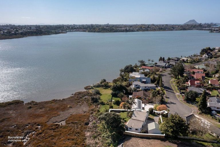 Photo of property in 139 Haukore Street, Hairini, Tauranga, 3112