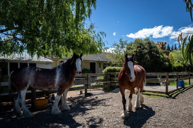 Photo of property in 756 Poyntzs Road, Eyrewell, Rangiora, 7476