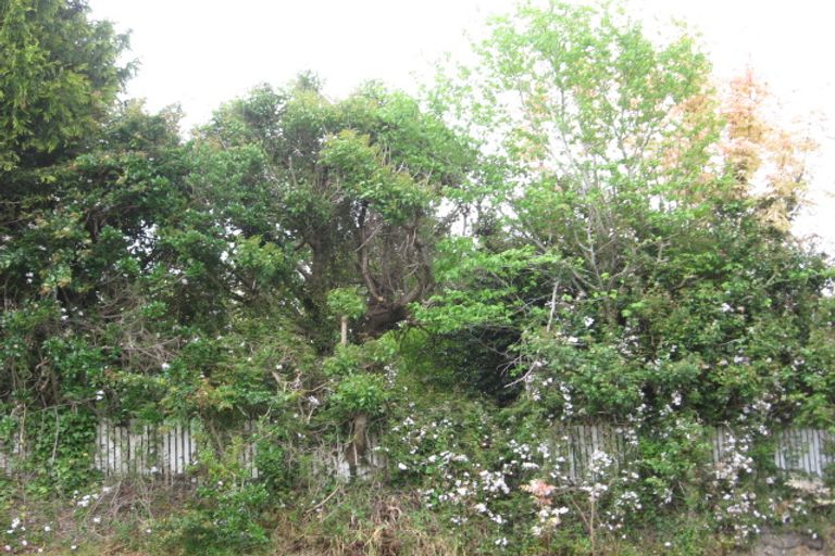 Photo of property in 26 Woodlands Road, Opotiki, 3122