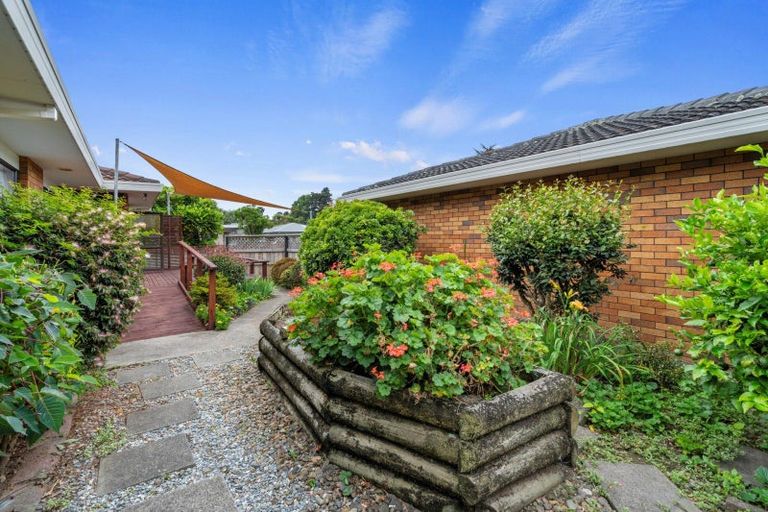 Photo of property in 131b Fourteenth Avenue, Tauranga South, Tauranga, 3112