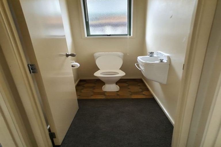 Photo of property in 1 Nobleman Place, Hamilton East, Hamilton, 3216