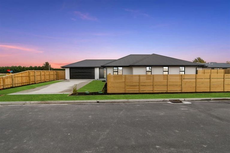 Photo of property in 3 Meadow Lane, Tinwald, 7774