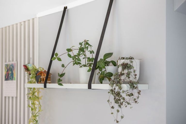 Photo of property in 41b Thornley Street, Titahi Bay, Porirua, 5022