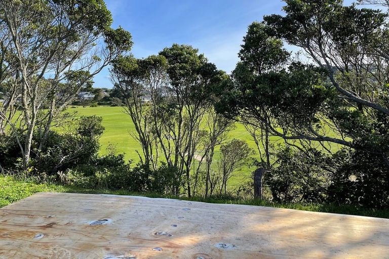 Photo of property in 99 Kenmore Street, Newlands, Wellington, 6037