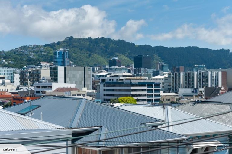 Photo of property in Ionian Flats, 123-125 Brougham Street, Mount Victoria, Wellington, 6011