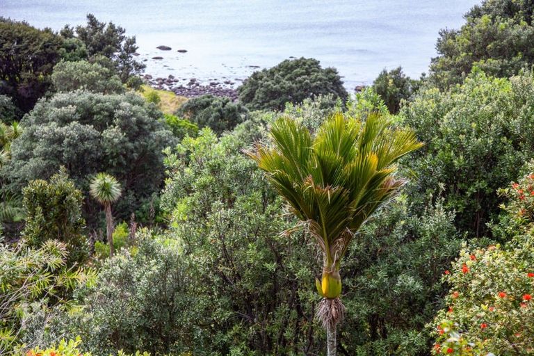 Photo of property in 402 Tuateawa Road, Tuateawa, Coromandel, 3583