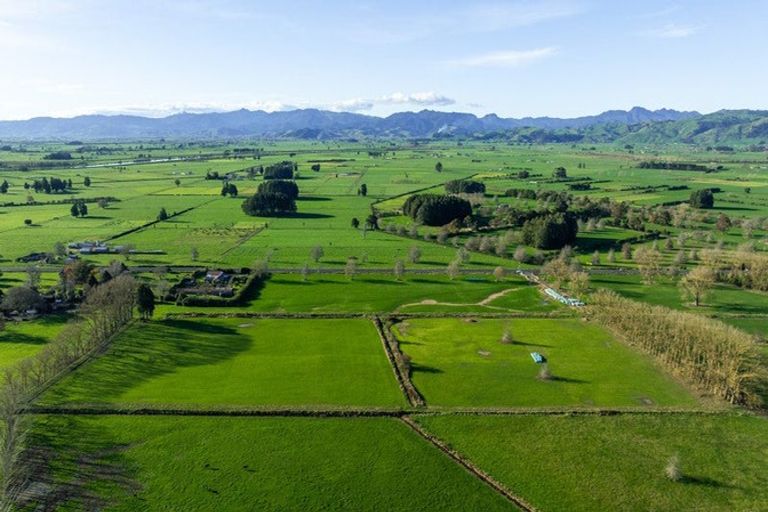 Photo of property in 6540 State Highway 2, Netherton, Paeroa, 3671