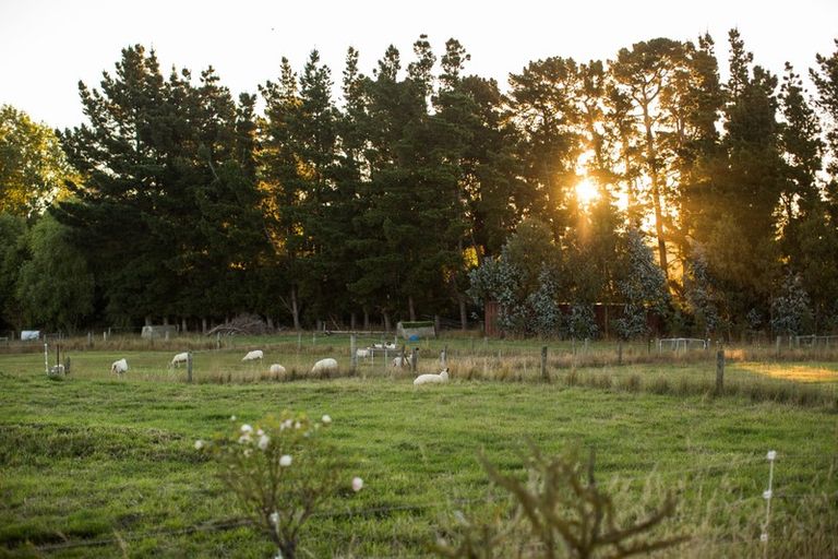 Photo of property in 148 Maskells Road, Balcairn, Amberley, 7481