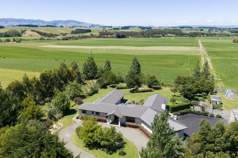 Photo of property in 572 Taonui Road, Colyton, Feilding, 4775