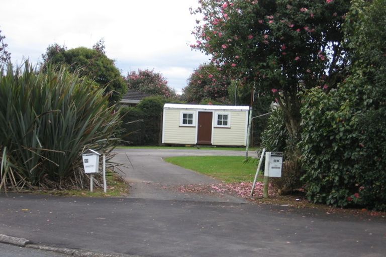 Photo of property in 48b Livingstone Avenue, Nawton, Hamilton, 3200