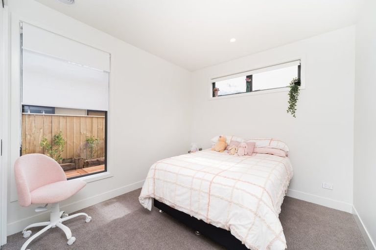 Photo of property in 117a Te Awe Awe Street, Hokowhitu, Palmerston North, 4410