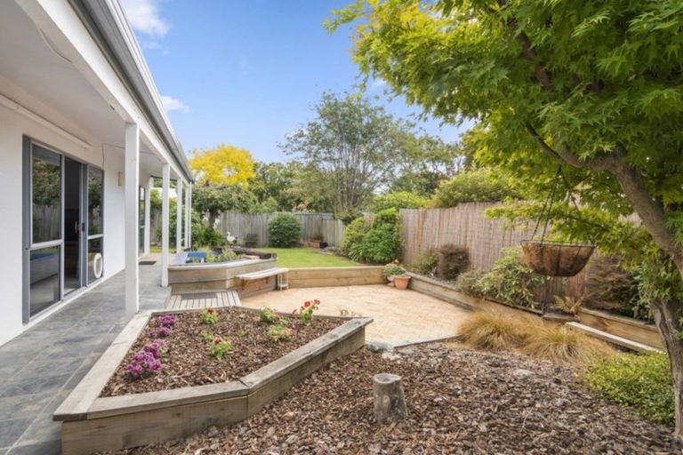 Photo of property in 8a Regent Place, Witherlea, Blenheim, 7201