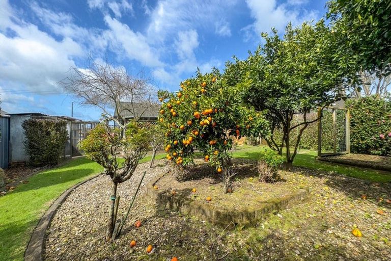 Photo of property in 48 Tower Road, Matamata, 3400