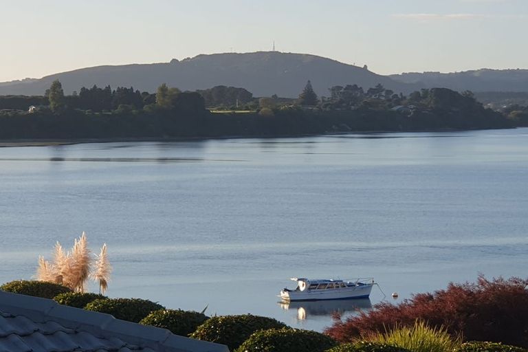 Photo of property in 11 First Avenue, Tauranga, 3110