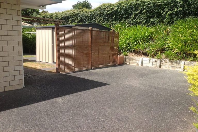 Photo of property in 16 Brodie Place, Bethlehem, Tauranga, 3110