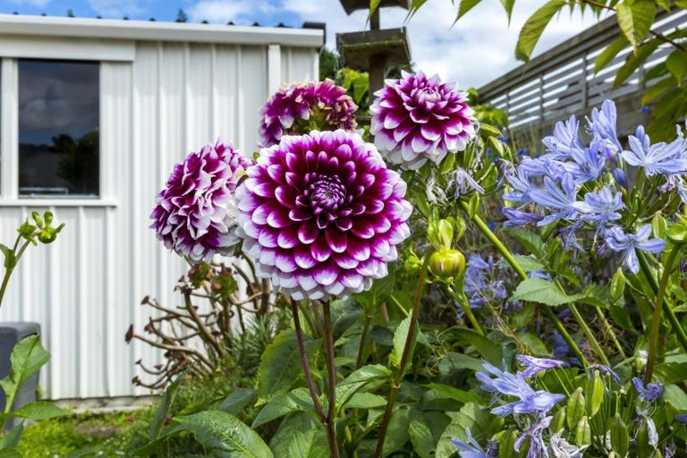 Photo of property in 4c Guiness Street, Avalon, Lower Hutt, 5011