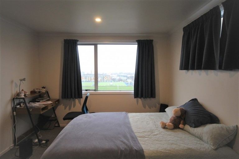 Photo of property in Includes 135, 137 Harbour Tce, 139 Harbour Terrace, North Dunedin, Dunedin, 9016