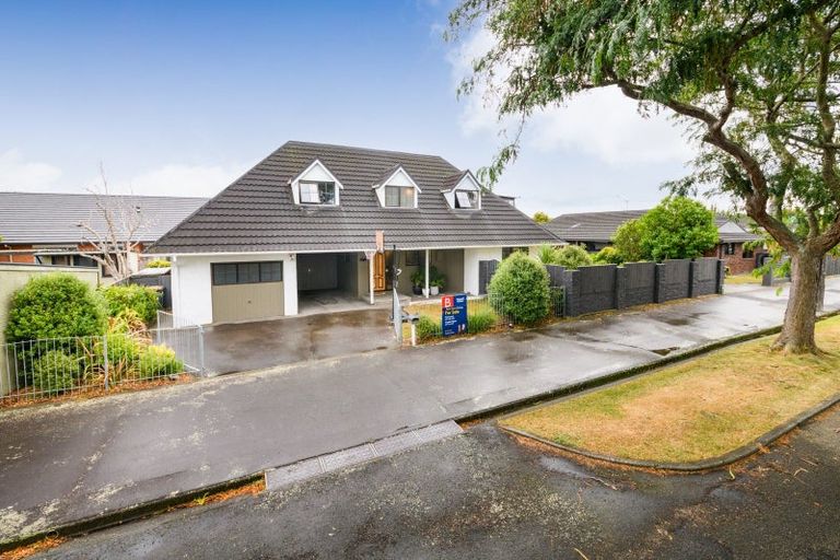 Photo of property in 8 Mcarthur Street, Terrace End, Palmerston North, 4410