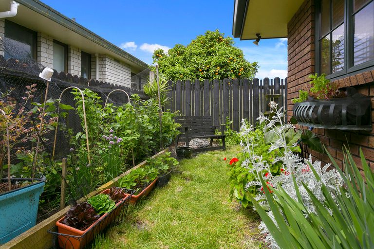 Photo of property in 13 Constance Place, Cambridge, 3434