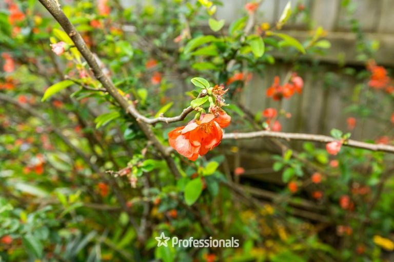 Photo of property in 14 Prouse Grove, Silverstream, Upper Hutt, 5019