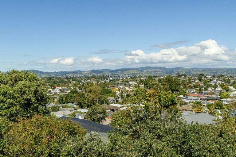 Photo of property in 20 Brookfield Terrace, Brookfield, Tauranga, 3110