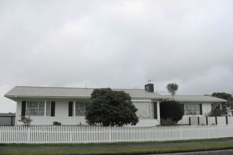 Photo of property in 1 Featherston Street, Levin, 5510