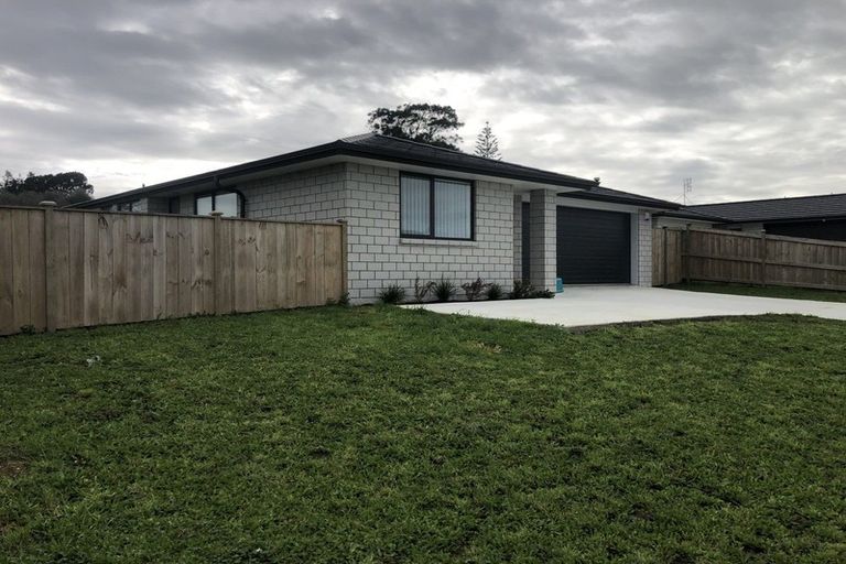 Photo of property in 71 Murray Ward Drive, Te Kauwhata, 3710