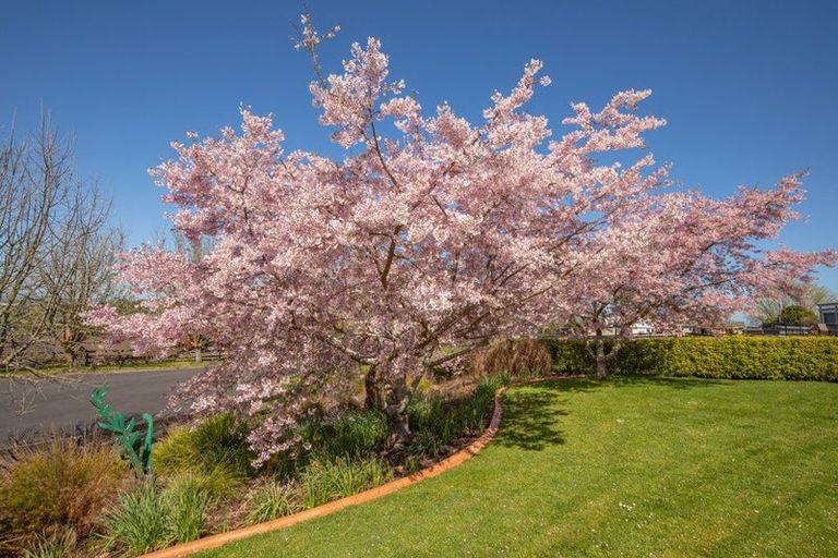 Photo of property in 15 Josephine Place, Te Kauwhata, 3782