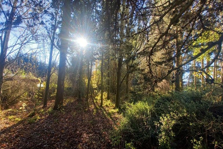 Photo of property in 3 Sim Road, Pukemaori, Otautau, 9682