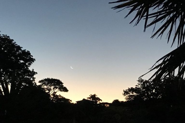 Photo of property in 545b Otumoetai Road, Matua, Tauranga, 3110