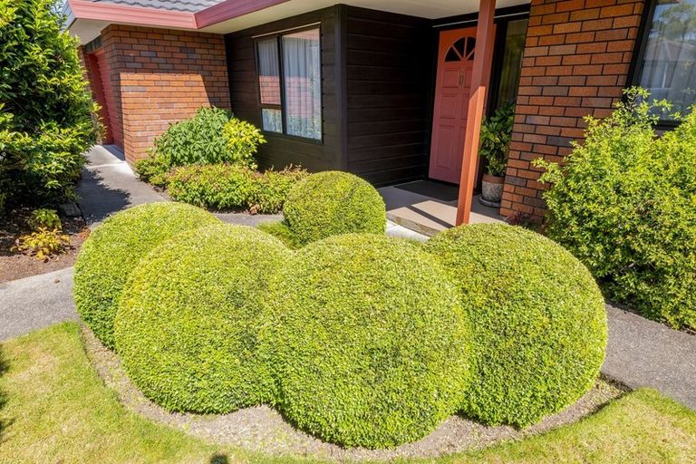 Photo of property in 5 Cedar Drive, Paraparaumu Beach, Paraparaumu, 5032