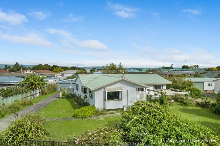 Photo of property in 22 Darlington Street, Ngatea, 3503