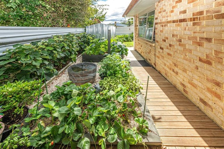 Photo of property in 34b Field Street, Aramoho, Whanganui, 4500