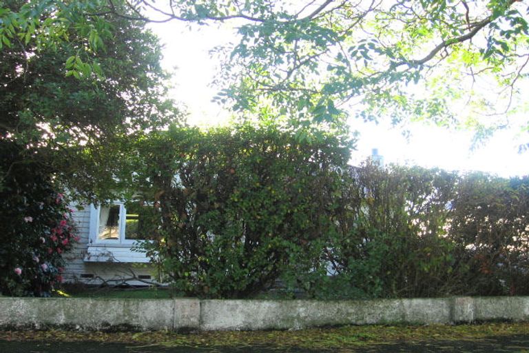 Photo of property in 12 Mahoe Avenue, Takaro, Palmerston North, 4410